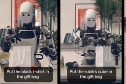 Gemini Robotics On Device Modèle Apollo