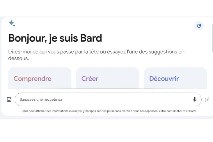Bard Google