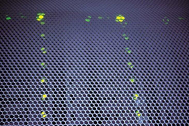 Grille de serveur - LEDs